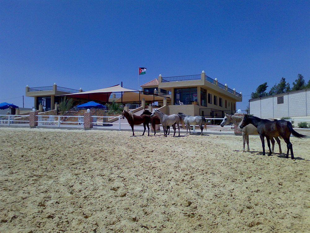 Saint John Hotel Madaba Exteriör bild